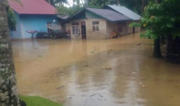 Rumah warga terendam banjir di Kecamatan Kampar Kiri Hulu
