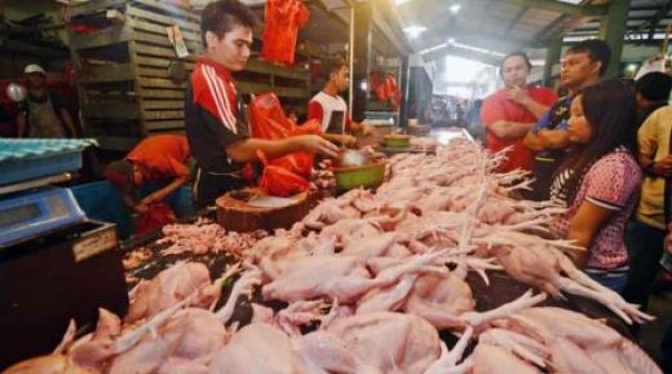 Hari ini Harga Ayam Potong di Pekanbaru Naik Rp1.000 per kilogram