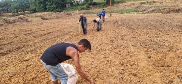 Personel Polres Inhu bersama warga Lirik menanam jagung hibrida.