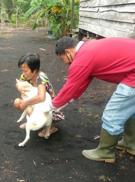 Hewan Peliharaan di Sembilan Kecamatan Bengkalis Divaksinasi Anti Rabies/R24