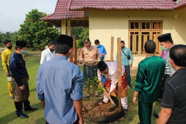 Pjs Bupati Kuansing Roni Rahmat saat melakukan penanaman pohon/R24