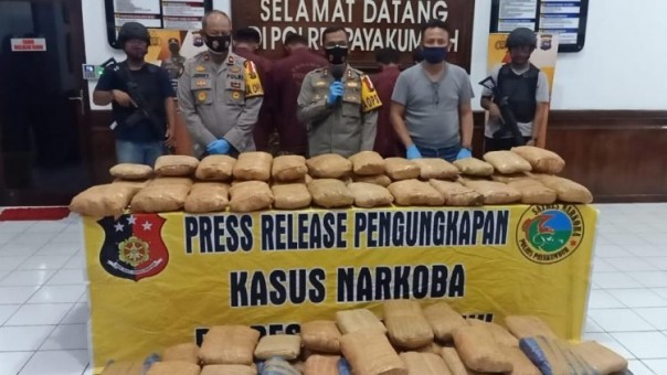 Polres Payakumbuh Gagalkan Penyeludupan 100 Kg Ganja dari Sumut/Langgam.id