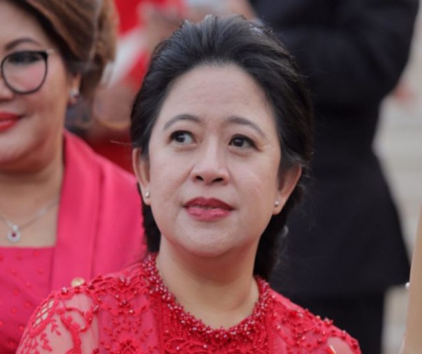 Ketua DPR RI Puan Maharani (Foto: Istimewa/internet)