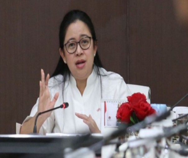 Ketua DPR RI Puan Maharani (Foto: Istimewa/internet)