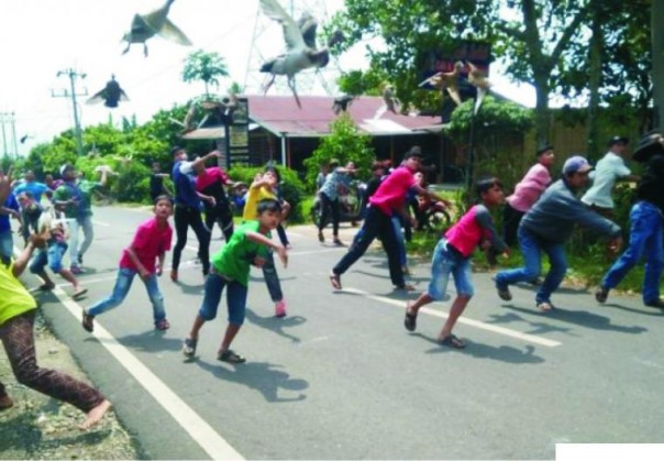 Permainan Tradisional Pacu Itik Payakumbuh Jadi Warisan Budaya Indonesia/jernihnews