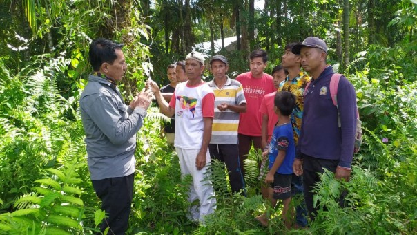 Lokasi warga diserang Beruang Madu di Solok selatan/langam