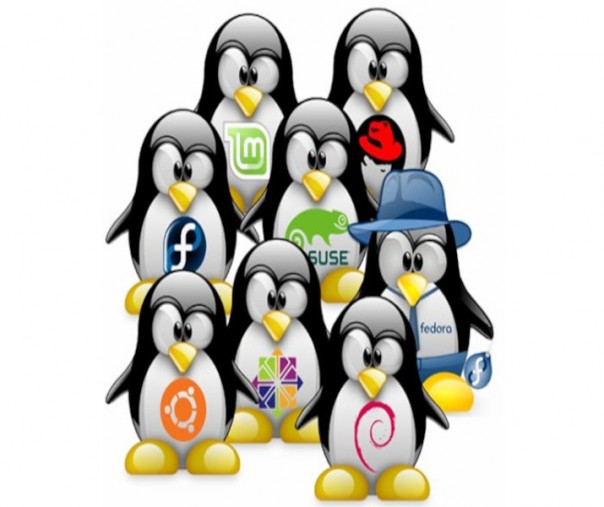 Ilustrasi logo Linux (Foto: Istimewa/internet)