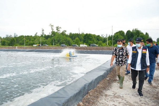 Tambak Ikan daratan di Riau