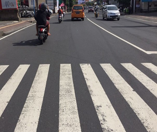 zebra cross (Foto: Istimewa/internet)