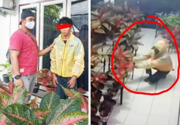 Viral, Pencuri Puluhan Bunga di Pekanbaru Akhirnya Diringkus Polisi