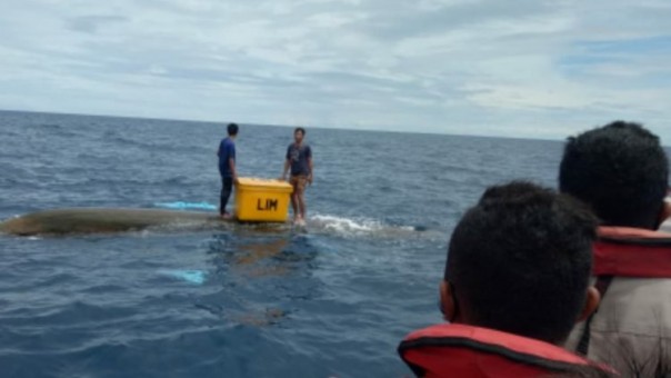 Perahu Terbalik, Dua Nelayan Berhasil Diselamatkan di Perairan Mentawai