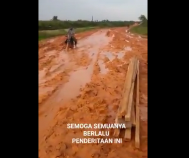 Tangkapan gambar jalan penghubung antara Palika dengan Kecamatan Kubu, Rokan Hilir, Riau  (Foto: Istimewa/Twitter @Don_MNHuda)