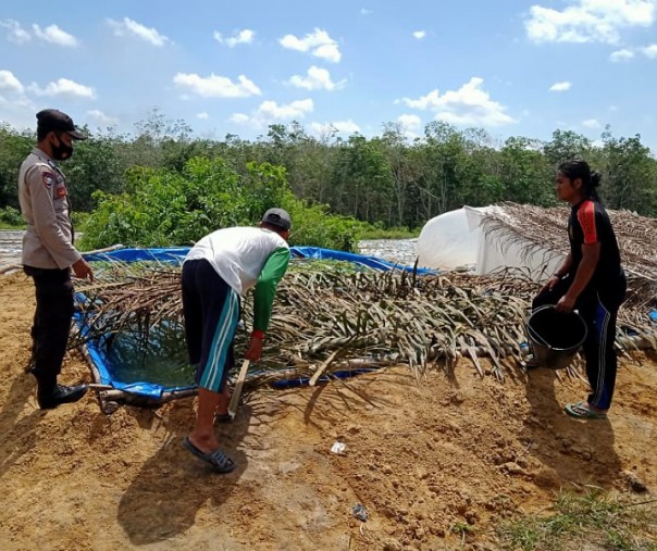 Personel Polsek Bunut saat mengecek hasil pertanian di Desa Angkasa, Kamis (3/12/2020). Foto: Istimewa. 