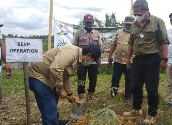 SEVP Operation PTPN V Ospin Sembiring didampingi Kepala BBKSDA Riau Suharyono menanam bibit tanaman yang akan menjadi makanan gajah sumatera. PTPN V berkomitmen melaksanakan mitigasi dan perlindungan gajah sumatera di areal operasinya.
