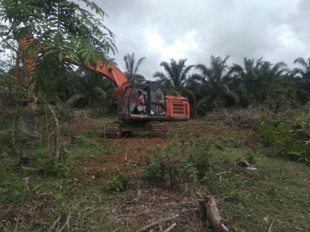 Warga Kecamatan Kampar Kiri Optimalkan Lahan Untuk Agrowisata Tanaman Buah/ist