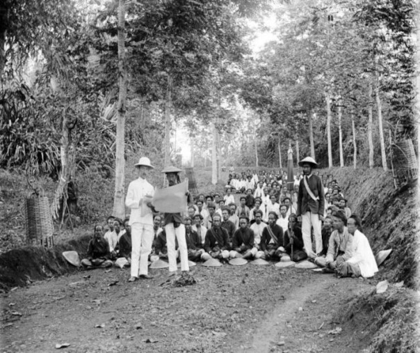 Tanam paksa ere Hindia Belanda (Foto: Istimewa/Soekapoera Institute Indonesia)