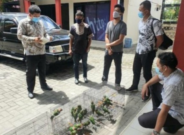 Jual Burung Betet Lewat Medsos, ASN di Pekanbaru Dijemput Polisi