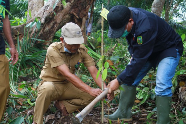Penanaman Pohon yang dilakukan Kadis LHK Riau bersama Kasi RHL BPDASHL Indragiri-Rokan, Desmantoro di Desa Air Buluh/R24