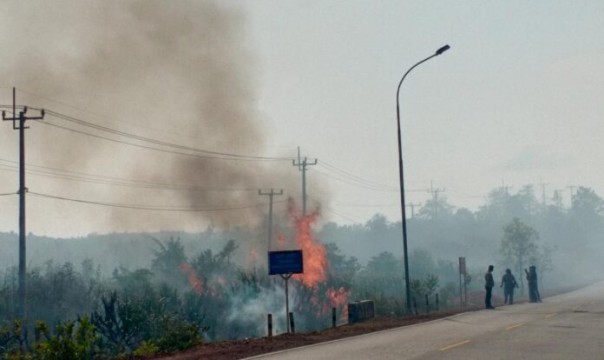 Kebakaran lahan di Jalan Lintas Barat Bintan (Suryakepri.com/Muhammad Bunga Ashab)