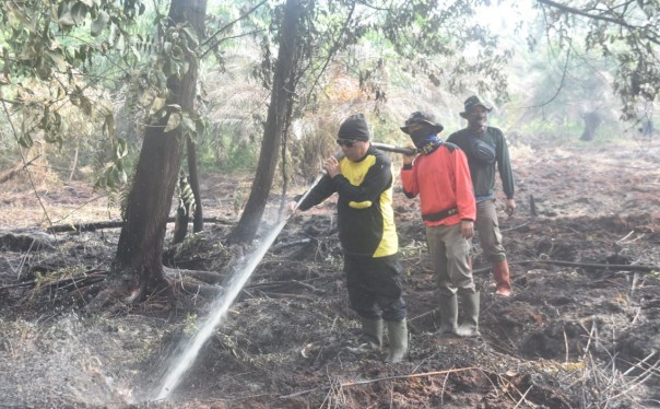 Petugas lalukan pendidnginan di Teluk Meranti