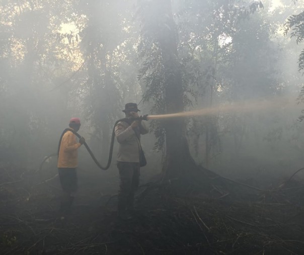 Satgas Karhutla melakukan pemadaman lahan gambut dan semak belukar di RT 2 RW 3, Dusun II, Desa Teluk, Kecamatan Kuala Kampar, Selasa (2/3/2021). Foto: Istimewa. 