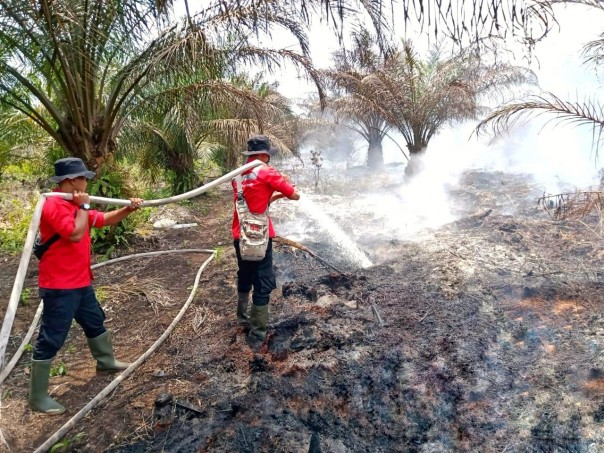 Personil Fire Fighter PT RAPP bersama Polsubsektor Pelalawan, TNI dan masyarakat melakukan pemadaman di lahan sawit milik warga di Desa Sering, Kabupaten Pelalawan/ist