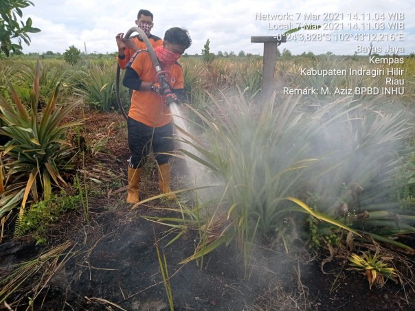 Personel KPBD Inhu masih melakukan pendinginan di areal lahan gambut yang terbakar sejak dua pekan terakhir ini di Desa Tanjung Sari, Ahad 7 Marer 2021/yuzwa