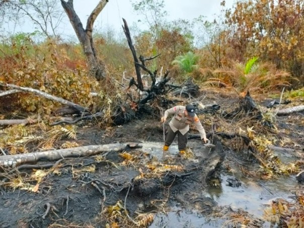 Hujan Lebat Turun di Wilayah Bengkalis, Hot Spot Padam