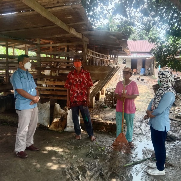 Sempat Hampir Gagal Beternak Sapi, Berkat Bantuan CSR IKPP, Lasiman Bangkit Jadi Peternak Kambing di Perawang. 