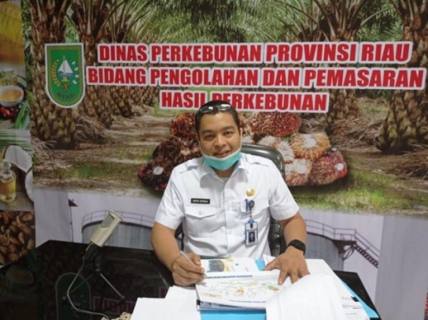 Kabid Pengolahan dan Pemasaran Disbun Riau, Defris Hatmaja/R24Group