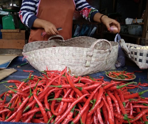 Ilustrasi cabai merah. Foto: Surya/Riau1.