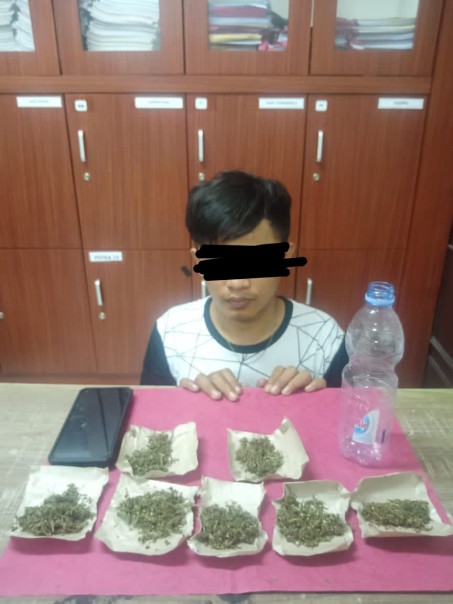 Diduga Pengedar Narkoba, Polisi Tangkap Seorang Pemuda di Tualang