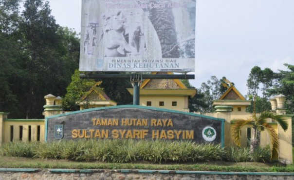 Tahura Sultan Syarif Hasyim