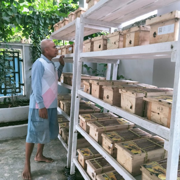 Petani Madu Klanceng Ini Sukses Hasilkan 5 Juta Perbulan