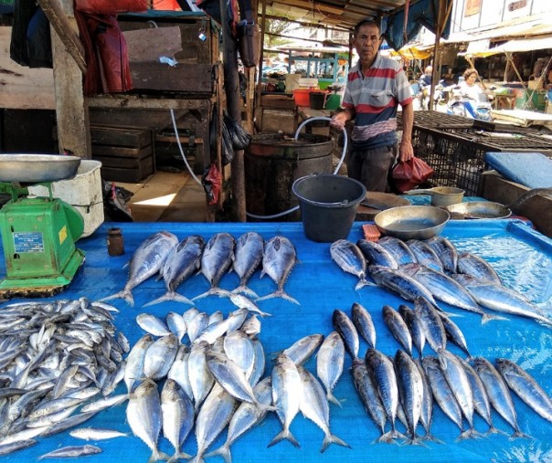 Pedagang ikan di Pasar Agus Salim Pekanbaru. Foto: Surya/Riau1.