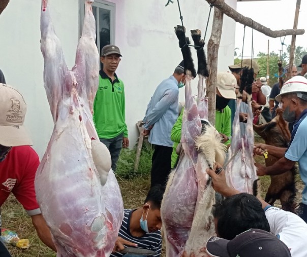 Proses pengulitan hewan kurban di depan Masjid Al Muhtadin, Jalan Mulya Jaya, Kelurahan Limbungan, Kecamatan Rumbai Timur, Selasa (20/7/2021). Foto: Surya/Riau1.