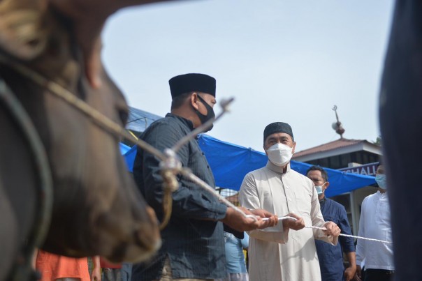 Saat Gubri Syamsuar menyerahkan hewan kurban