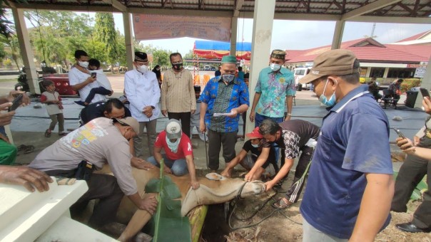 Polres Inhu Sembelih 21 Hewan Kurban