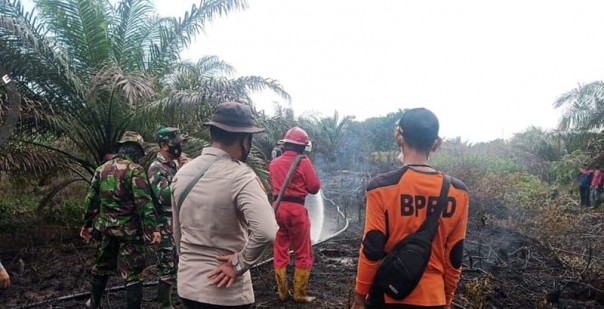 Seluas 5 Hektar Lahan Warga Inhu Terbakar