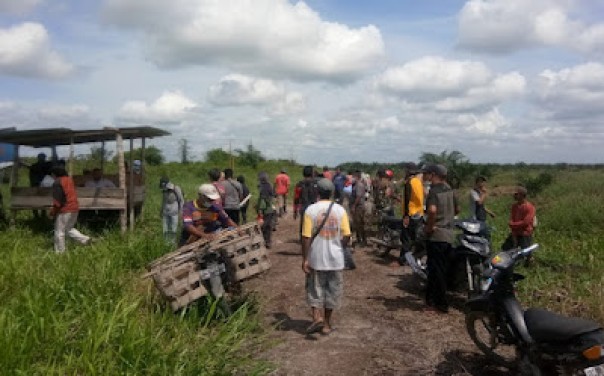 RMI Patok Lahan Terlantar HGU PT ASL di Inhu
