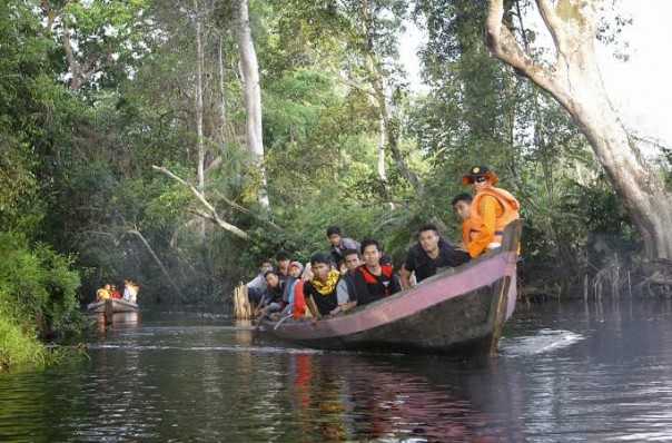 Hutan Riau/Net