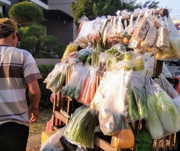 Pedagang sayur saat berjualan di kawasan perumahan. Foto: Surya/Riau1.