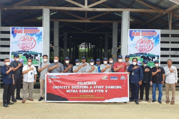 Para mitra UMK PTPN V berfoto bersama usai melaksanakan study banding ke sentra peternakan sapi di Kabupaten Pelalawan, Riau, belum lama ini. Foto: Istimewa. 