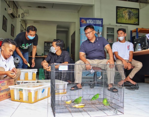 Burung cica daun yang diamankan petugas