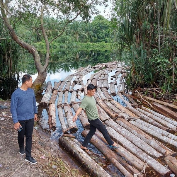 Tampak polisi menyisir lokasi temuan kayu ilegal loging
