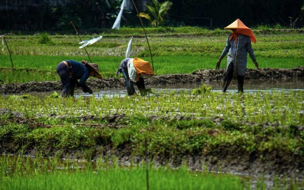 Ilustrasi (Foto:Bisnis.com)