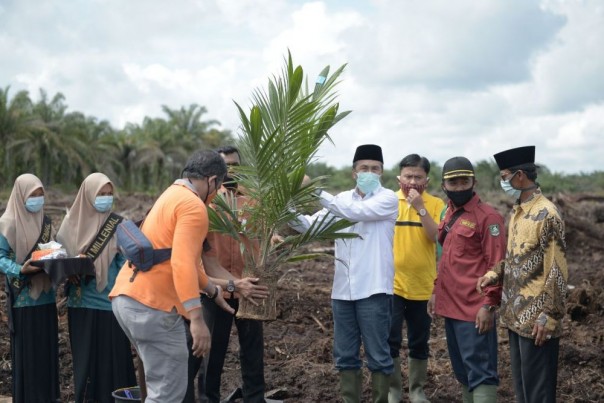 Gubernur Riau, Syamsuar di perkebunan kelapa sawit