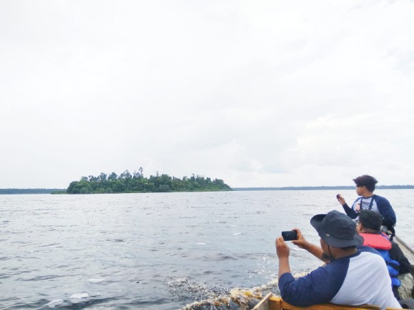 Salah Satu Pulau di Danau Besar Taman Nasional Zamrud