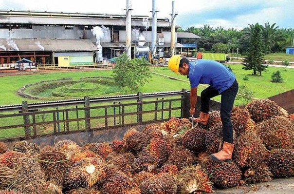 Ilustrasi (Foto: Jawapos)