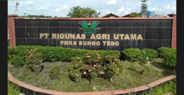 Diduga, PT Regunas Terima TBS Dari Kawasan SM Bukit Betabuh